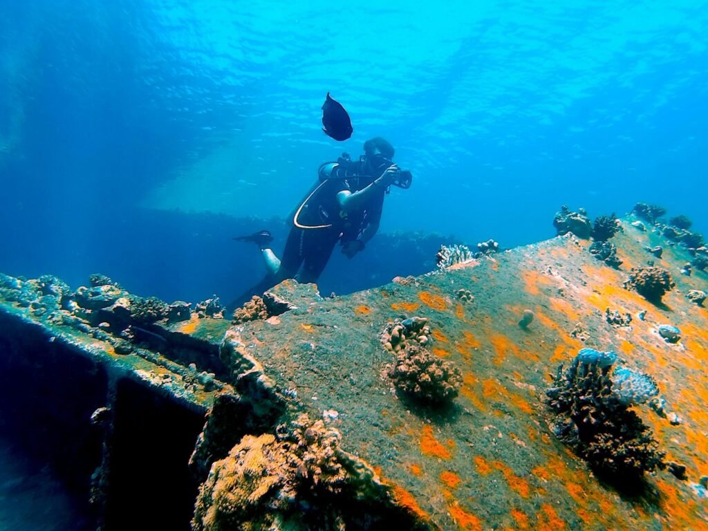 Fort Lauderdale Snorkeling